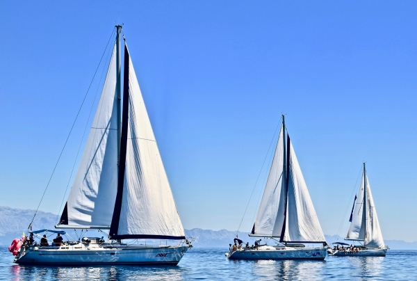 Cluster of sailboats